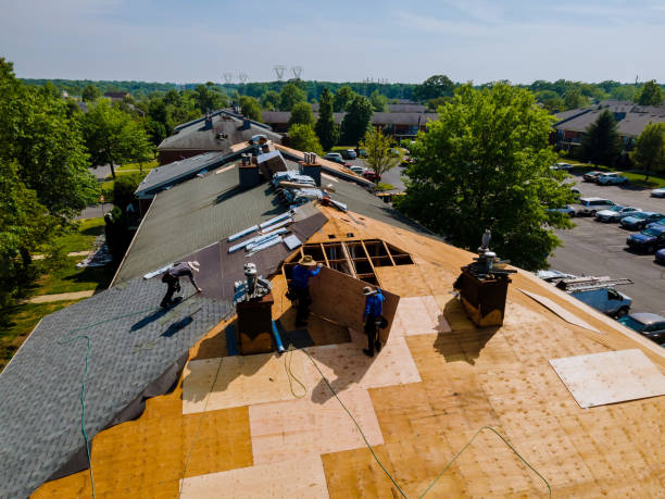 Trusted Storm Damage Roof Repair service in Versailles, KY - Brentwood Metal Roofing